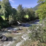 Foto 2020 1919301832