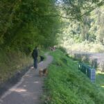 Foto 2020 1303364159