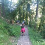 Foto 2020 2047659004