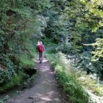 Foto 2020 2766140092