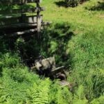 Foto 2020 3255338621