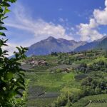 Foto 2020 1153232592