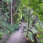 Foto 2020 1799125419