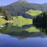 Foto 2020 3586993695