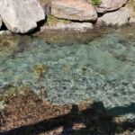 Foto 2020 3492133552