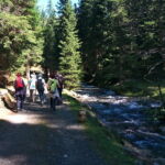 Foto 2020 3080264170