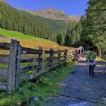 Foto 2020 1676135727