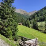 Foto 2020 3578753969