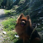 Foto 2020 3097658604