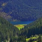 Foto 2020 4215119154