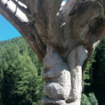 Foto 2020 4102731529