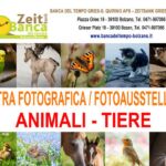 Foto 2021 156646278
