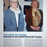 Foto 2021 4194710462