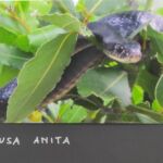 Foto 2021 632089906