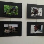 Foto 2021 3917077163