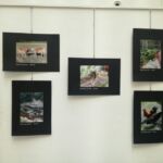Foto 2021 1173716692