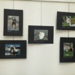 Foto 2021 2118614062