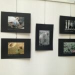 Foto 2021 3022681003