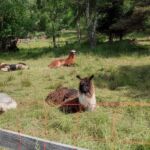 Foto 2021 1518531247