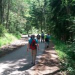 Foto 2021 4004511249