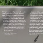 Foto 2021 1568989484