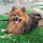 Foto 2021 3886402196