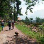 Foto 2021 1329013421