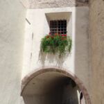 Foto 2021 3592397816