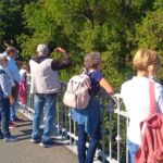 Foto 2021 3786970138