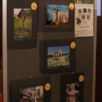 Foto 2021 3436824260