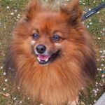 Foto 2022 1020594068