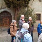 Foto 2022 3260034715