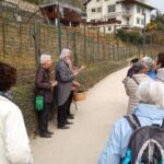 Foto 2022 1384685344