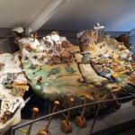 Foto 2022 3832117765