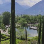 Foto 2022 4285553221