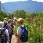 Foto 2022 2855917089