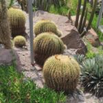 Foto 2022 2157486435