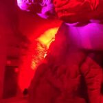 Foto 2022 3587854311