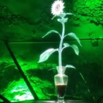 Foto 2022 1442768301