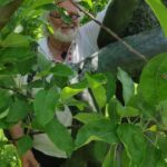 Foto 2022 2136969967