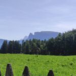 Foto 2022 1539812898