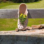 Foto 2022 1393119229