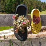 Foto 2022 2366051891