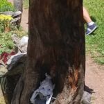 Foto 2022 1363887660