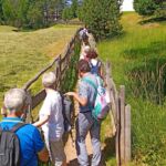 Foto 2022 4036300240