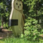 Foto 2022 4273335361