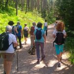 Foto 2022 2755835093