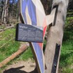 Foto 2022 2695191616