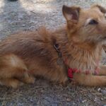 Foto 2022 1232777103