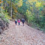 Foto 2022 1342128488